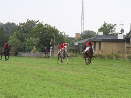 img_6003_web